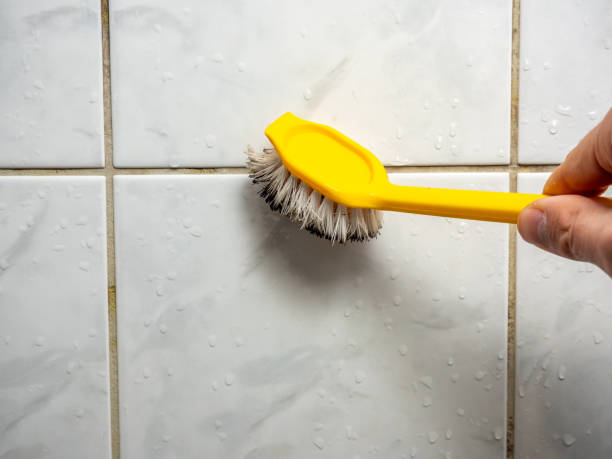 Best Mold Remediation  in Van Vleck, TX