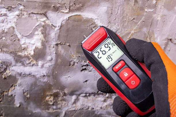 Best Mold Removal Near Me  in Van Vleck, TX