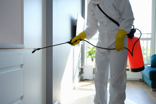 Best Mold Testing  in Van Vleck, TX
