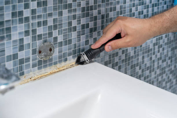 Best Mold Removal Near Me  in Van Vleck, TX