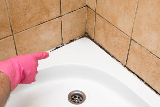 Best Mold Testing  in Van Vleck, TX
